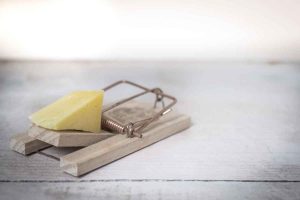 La trampa de la obesidad